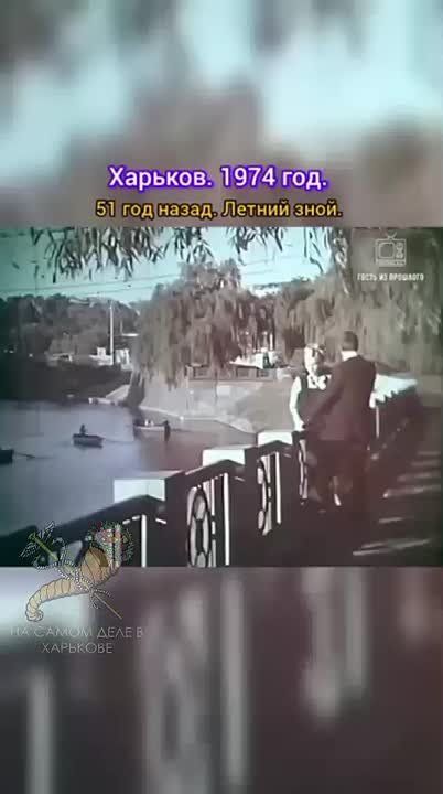  -    ,  -    