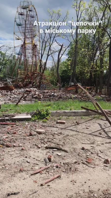 Купянск, городской парк, кадры от местного зооволонтёра