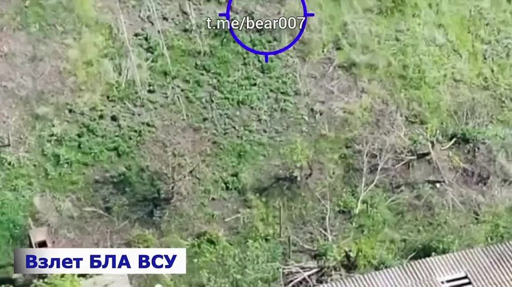  &quot;&quot;        :