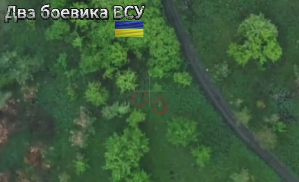 Наивные! Думали, что кусты их спасут?