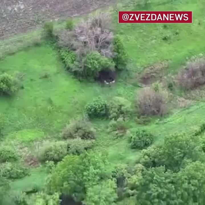 Наши птички нашли одинокий миномет противника, который спрятался под деревом в лесу — его моментально разнесли российские операторы точным попаданием