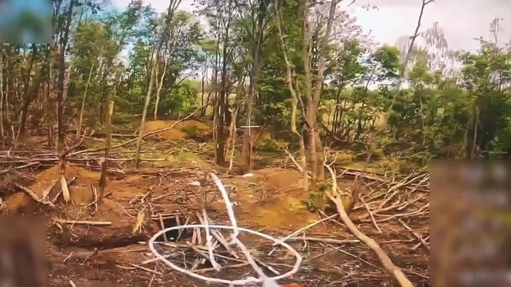 Выверенный удар. Кадры уничтожения разведротой 30 мсп 44 АК позиции бандеровцев в Сумской области