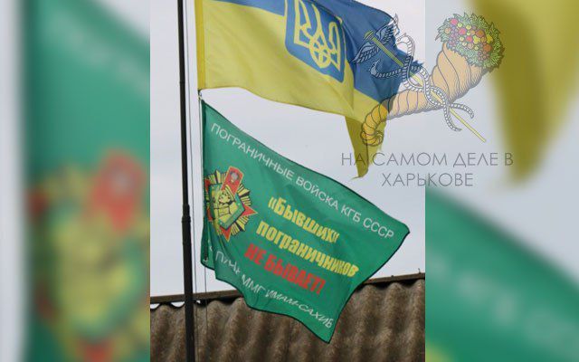  ,( ),   28     ,       &quot;   &quot;