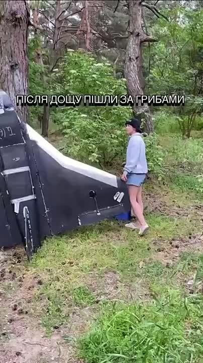 В Харьковской области грибники обнаружили в лесу БпЛА, которые были потеряны радиолокационно