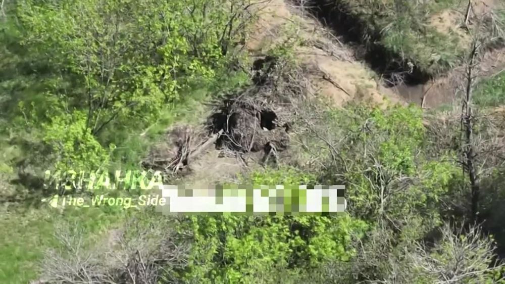 Уничтожение 105-мм буксируемой гаубицы L119 FPV-дроном "Молния" в районе Сеньково Харьковской области