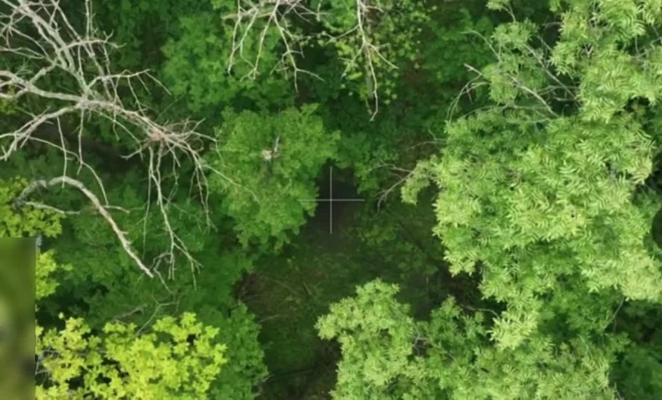 Интернет-герои ВСУ остались без связи