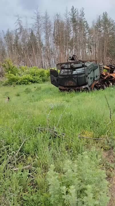 Кадры с ещё одной уничтоженной 155-мм САУ «Богдана» на шасси Tatra T815-7 ВСУ в Харьковской области