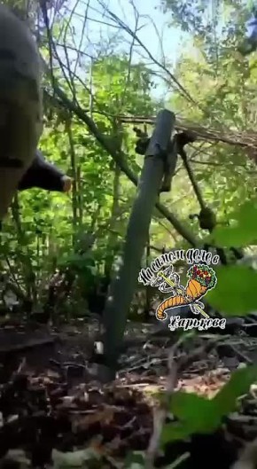   ,  !