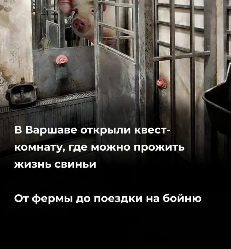 Симулятор жизни рядового украинца попавшего в застенки ТЦК теперь в Польше