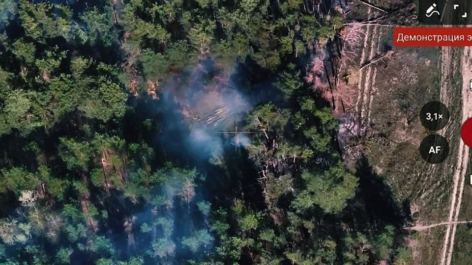 Горит лес, горят окопы, горят надежды ВСУ