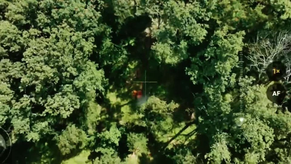 Забыли продлить абонентскую плату