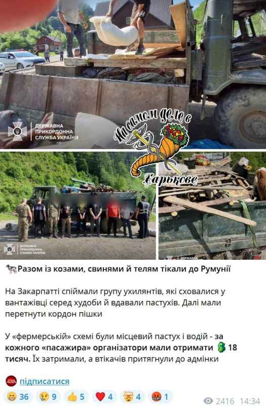 "Своим всё, чужим - по закону"