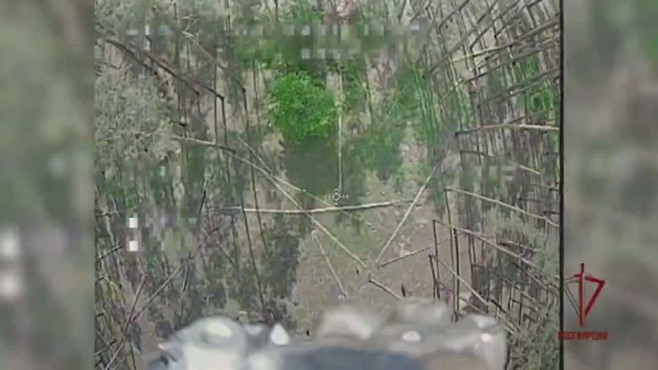 Уничтожение точными сбросами с FPV-дронов блиндажа противника на харьковском направлении