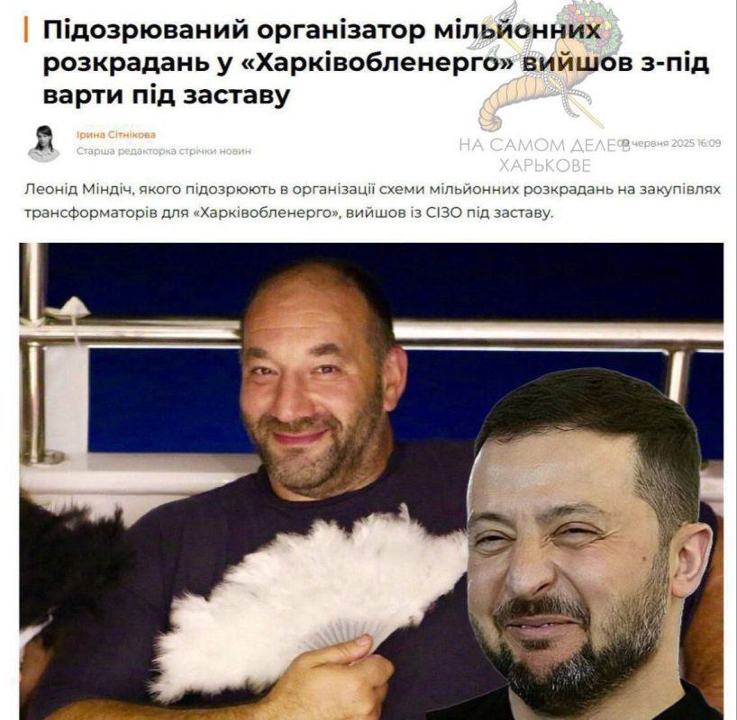 Украл, выпил — в тюрьму Европу