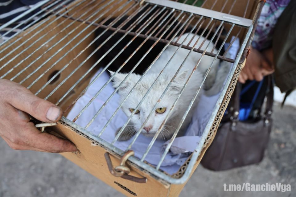 Виталий Ганчев: При поддержке российских военнослужащих сотрудники Военно-гражданской администрации эвакуировали 2 мирных жителя из населённого пункта Кругляковка Купянского района Виталий Ганчев: При поддержке российских военнослужащих сотрудники Военно-гражданской администрации эвакуировали 2 мирных жителя из населённого пункта Кругляковка Купянского района