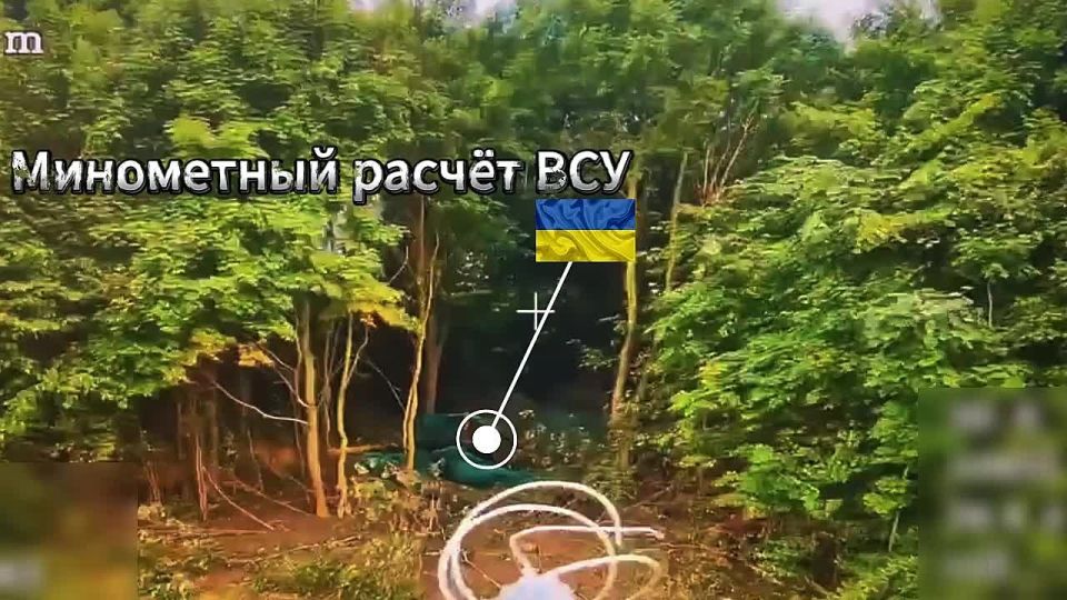 В яблочко. Кадры уничтожения разведротой 30 мсп 44 АК минометного расчёта бандеровцев в Сумской области