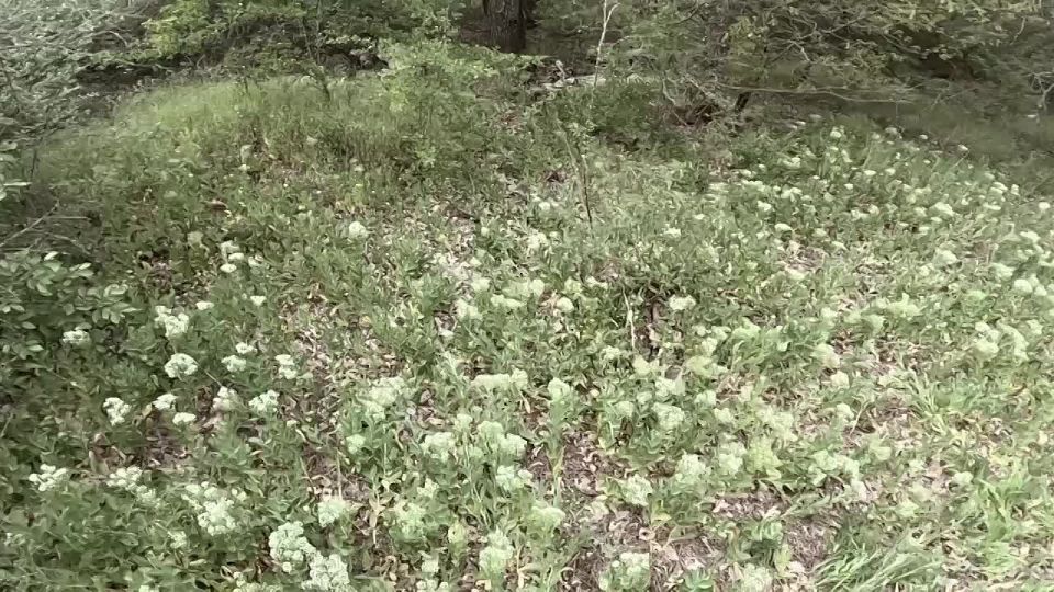 Ликвидированные боевики всу