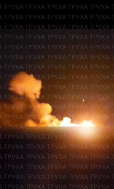 Прилеты Гераней в Харькове