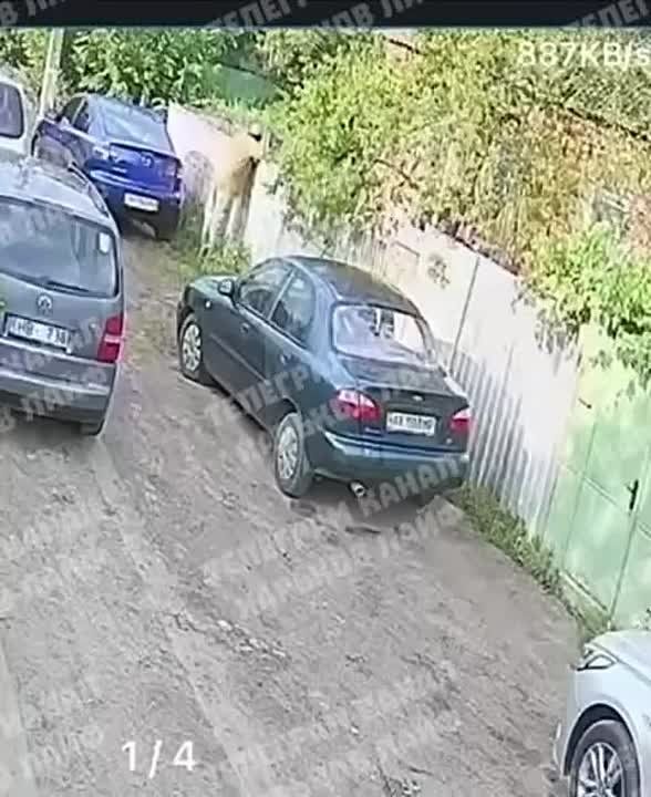 Мосфильм, г.Харьков.. Нууууу...хозяин дома наверное немного вспотел Наш канал