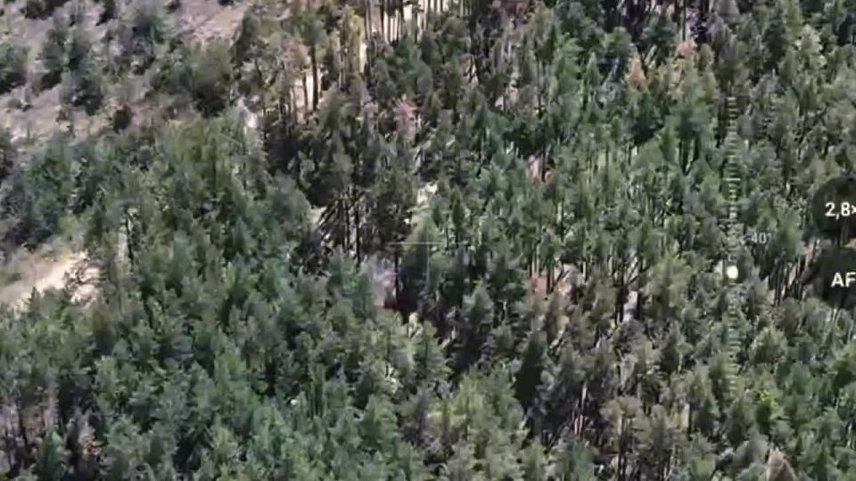 Проверяем позицию укронацистов на прочность