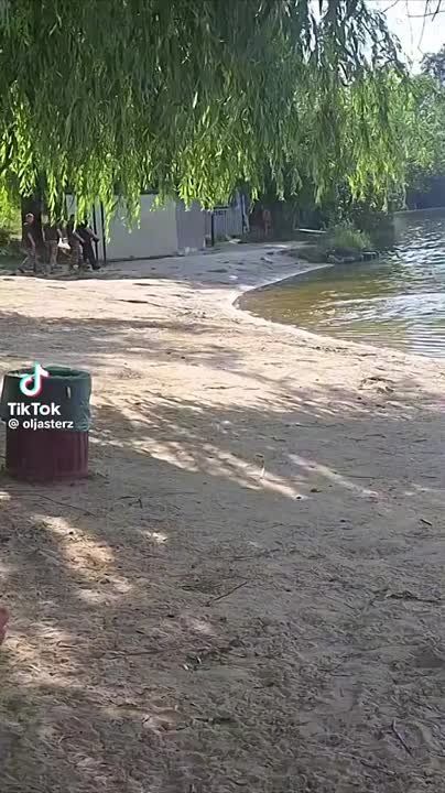   ,        ,          
