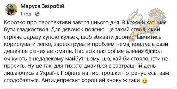 Мобильное ПВО, которое использует Украина в черте городов, наносит ущерб не только тем, что сбивает БпЛА прямо на головы людям, угрозу несут и пули выпущенные из их пулеметов Мобильное ПВО, которое использует Украина в черте городов, наносит ущерб не только тем, что сбивает БпЛА прямо на головы людям, угрозу несут и пули выпущенные из их пулеметов