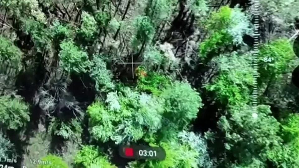 Тактика выжигания. Работа операторов БпЛА 41 мсп 44 АК по ликвидации укрепрайона бандеровцев в Харьковской области