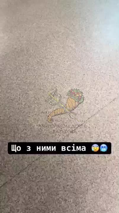 Мовнючку сдуло ветром с карпатской смереки и занесло на один день в Харьков