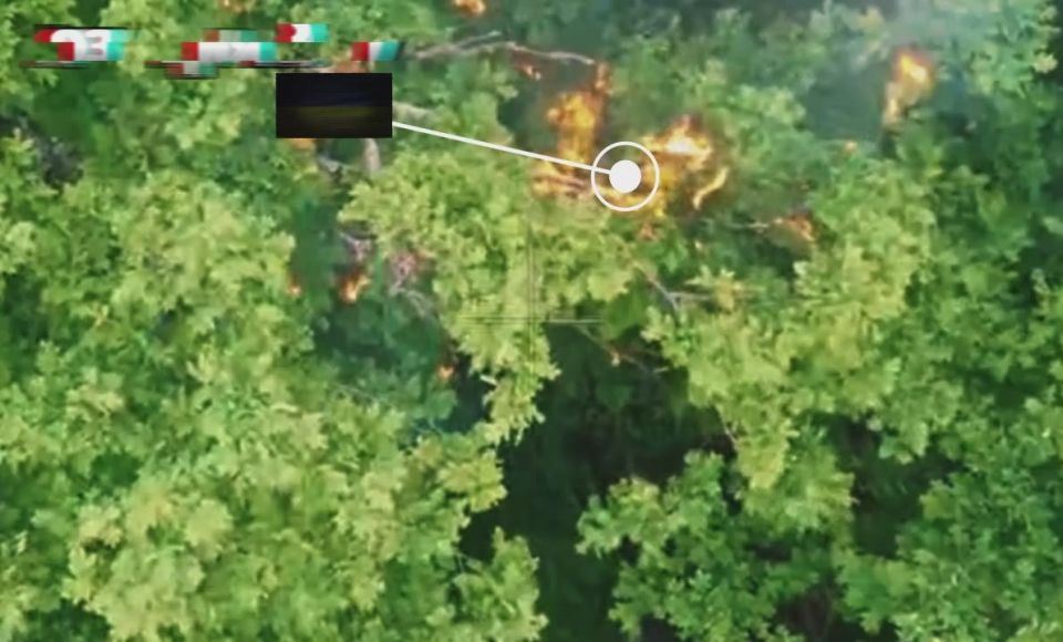 В кустиках не спрячешься. Харьковская область