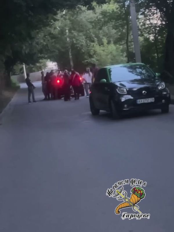 "Свободна и едына". Вчера на улице Зубенко 31 пиксельные с помощью дубинок и элетрошокера выкрали с улицы мужчину даже не спросив документы