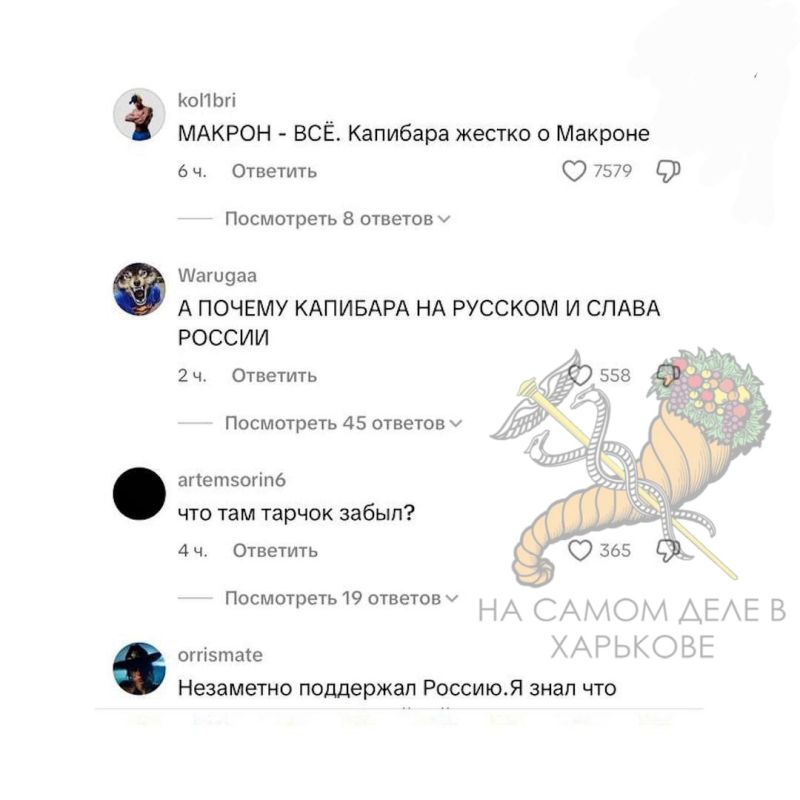 Макрон поддержал русский мем-хит «Капибара» на своем официальном акаунте в TikTok Макрон поддержал русский мем-хит «Капибара» на своем официальном акаунте в TikTok