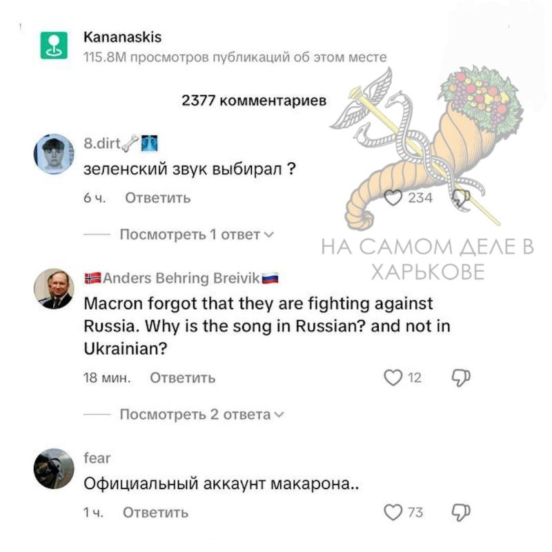 Макрон поддержал русский мем-хит «Капибара» на своем официальном акаунте в TikTok Макрон поддержал русский мем-хит «Капибара» на своем официальном акаунте в TikTok