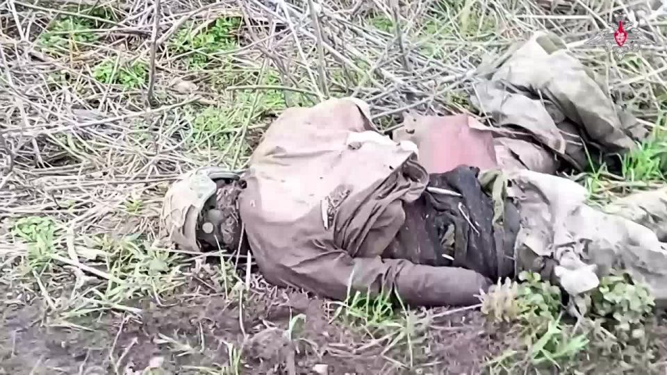 Группировка «Север» занимается эвакуацией тел погибших украинских военных и наёмников в Суджанском районе