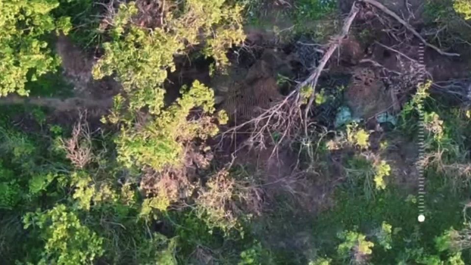 Глубокая прожарка. Харьковская область