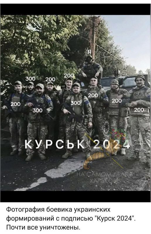 Россия готова передать Киеву ещё около 3000 тел украинских военных