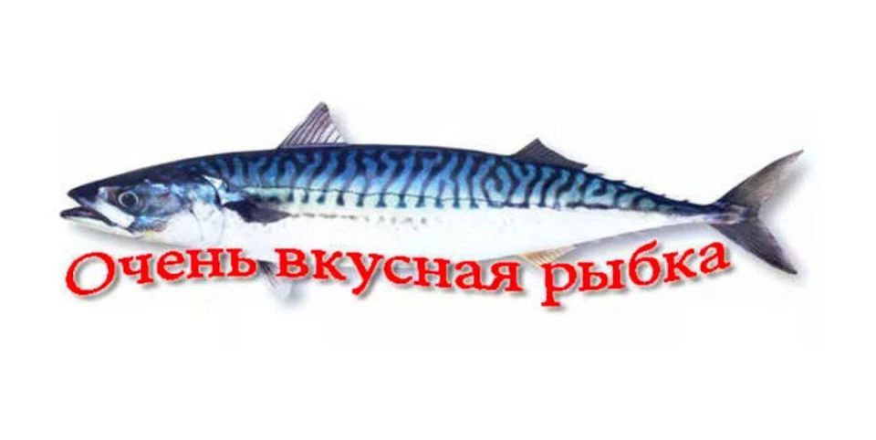 Скумбрия, которая по восемь