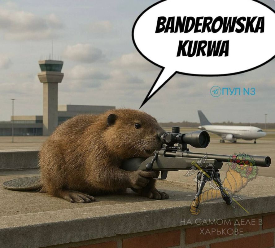 ВНИМАНИЕ. В сеть слили фото предполагаемого преступника, покушавшегося на Зеленского в Польше