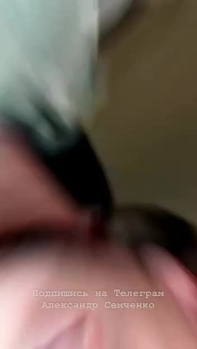   ,   ,          ,     .  