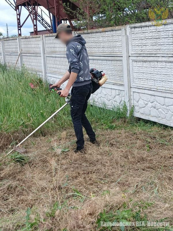 Добровольцы из территории Харьковской области, находящейся под административным управлением Военно-гражданской администрации, косят траву в общественных местах и у социальных объектов своих населённых пунктов