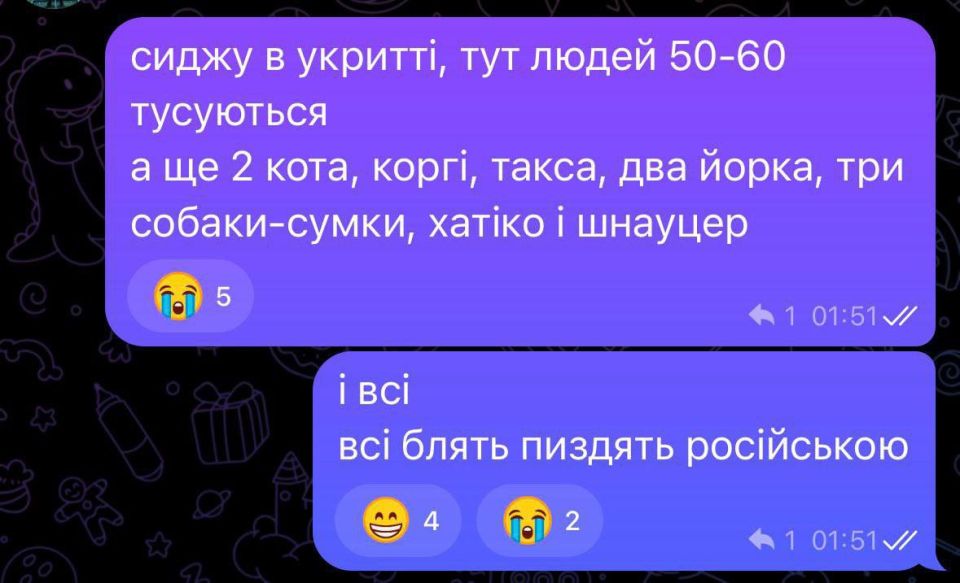 Что и коты с собаками тоже?