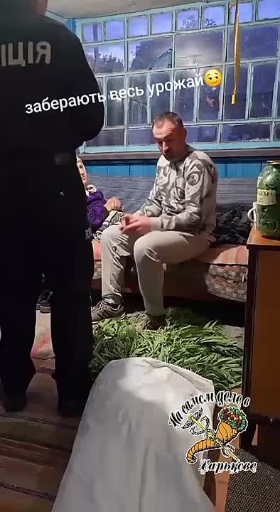 &quot;   ,    &quot;