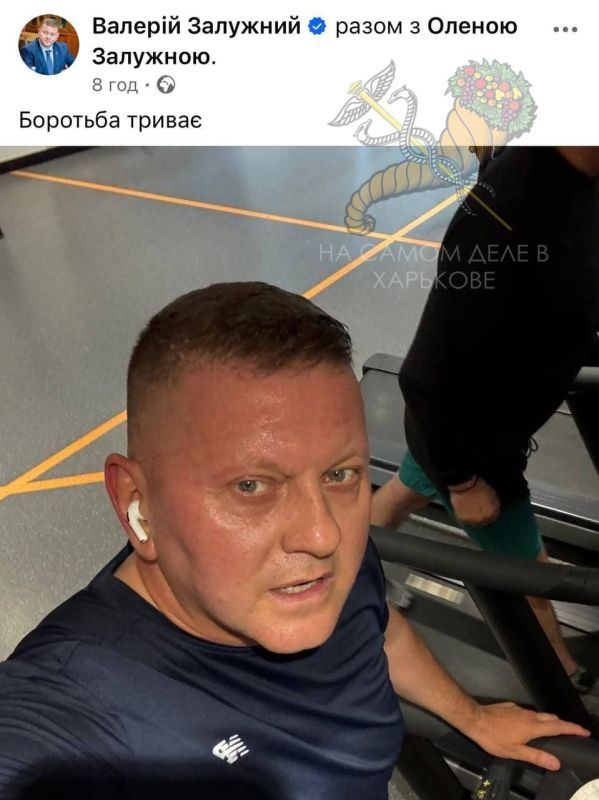 Украинцы интересуются: пойдёт ли Тарас Кремень на фронт после отставки — защищать мойву или откроет второй фронт в Лондоне?