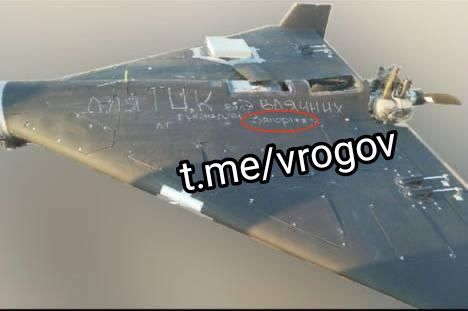 Владимир Рогов: В ТЦК теперь "цветут" именные «Герани»