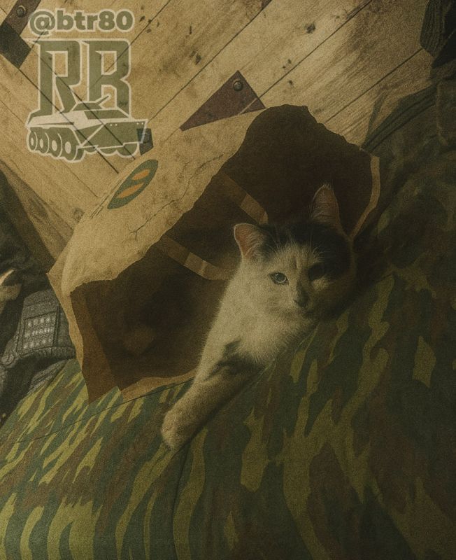  , .    &quot;&quot;     &quot;&quot;         