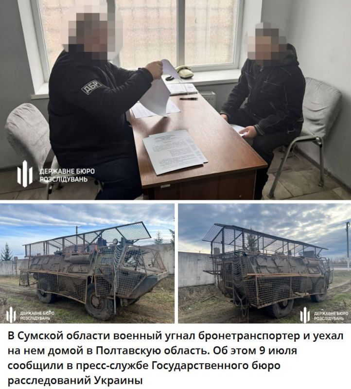 Если уж сливаться, то с комфортом!