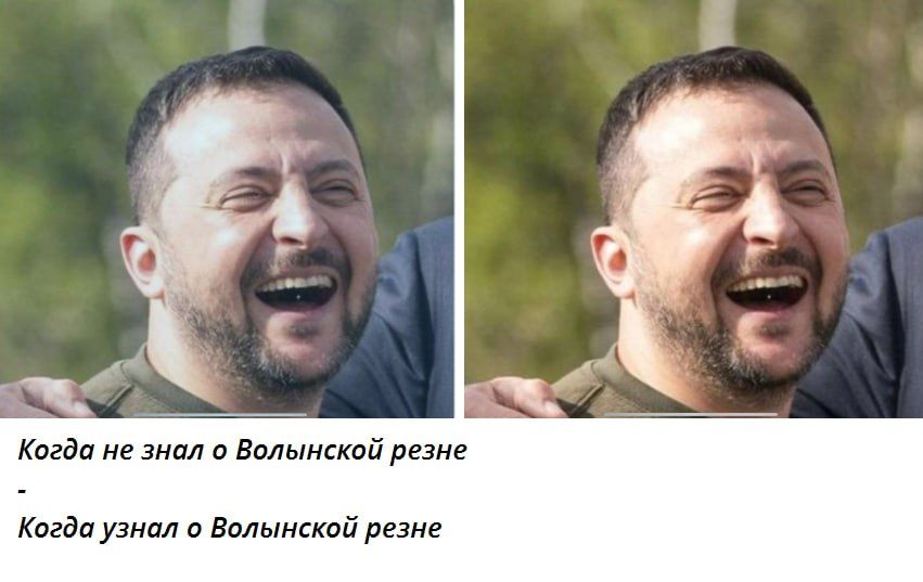 Не знав, та ще й забув. Президент Польши заявил, что Зеленский не знал о Волынской резне