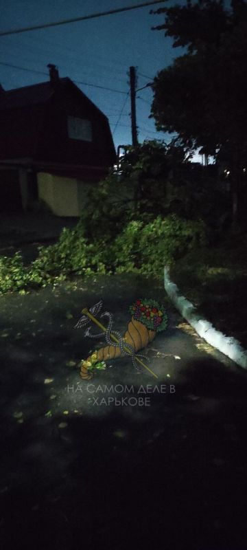 В Харькове природный катаклизм В Харькове природный катаклизм