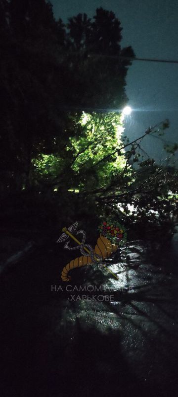 В Харькове природный катаклизм В Харькове природный катаклизм