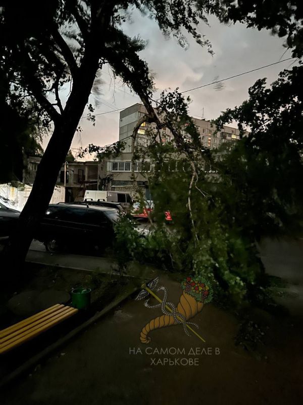 В Харькове природный катаклизм В Харькове природный катаклизм