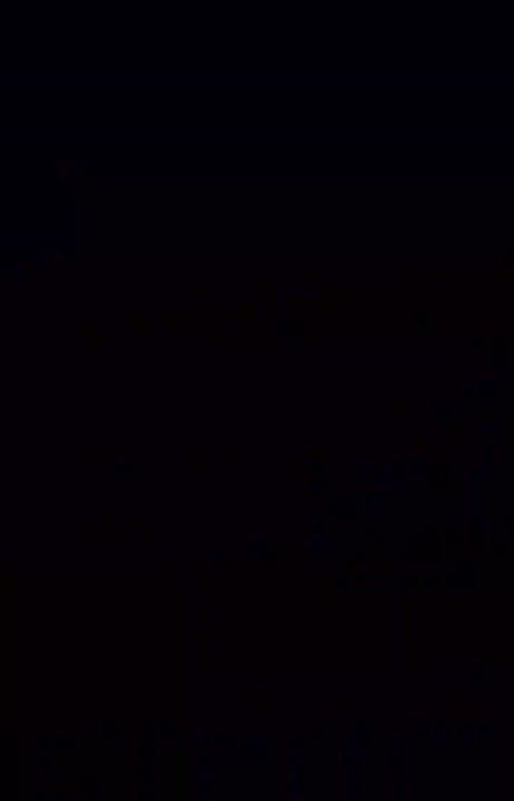      12  - 13  2025 